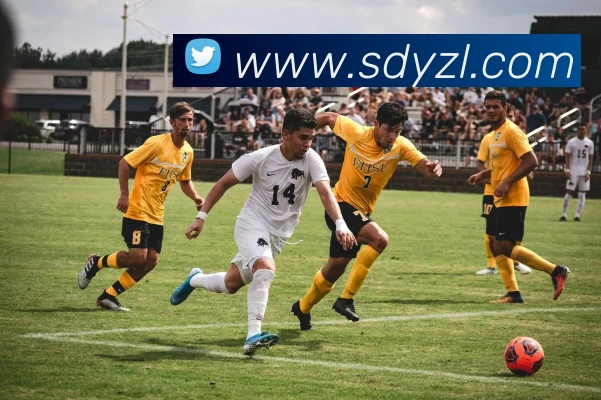 App Interface Preview